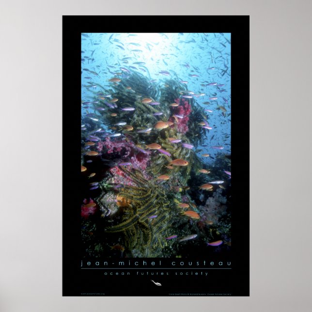 Coral Reef Poster (Front)