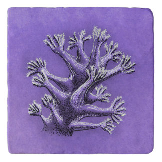 Coral Reef Purple Marine Biology Art Trivet