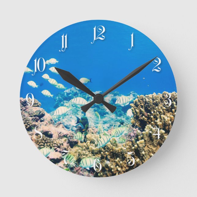 Coral reef round clock (Front)
