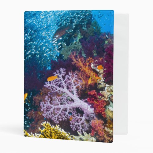 Coral Reef Scenery  Bigeye Or Goggle_Eye Mini Binder