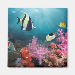 Coral Reef Scenery Moorish Idol Magnet