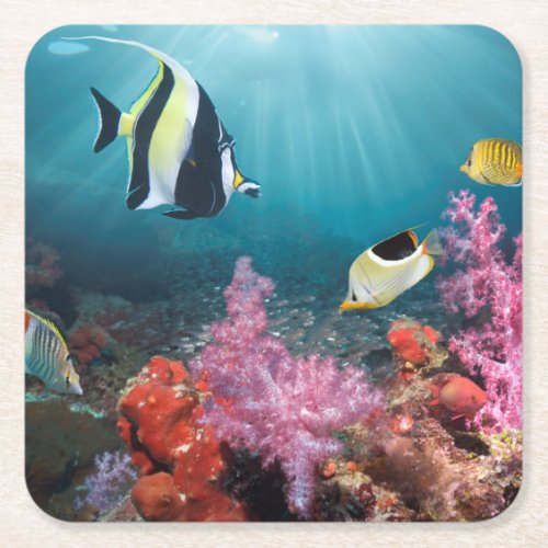 Coral Reef Scenery  Moorish Idol Square Paper Coaster