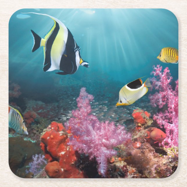 Coral Reef Scenery | Moorish Idol Square Paper Coaster (Front)