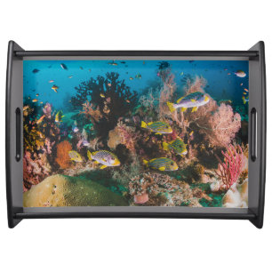 Coral Reef serving trays