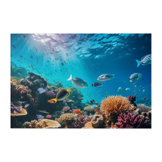 Coral Reef Shallow Waters Acrylic Wall Art (Front)