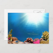 Coral Reef & Shark Postcard (Front/Back)