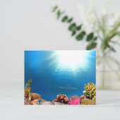 Coral Reef & Shark Postcard (Standing Front)