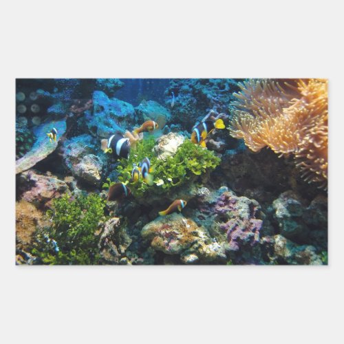 Coral Reef stickers