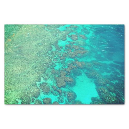 Coral reef tissue paper