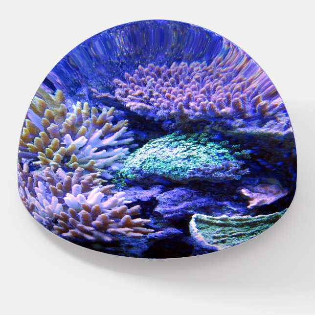 Coral reef tropical Caribbean Paperweight (Angled)