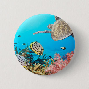 Coral Reef Turtle Naturescape Pinback Button