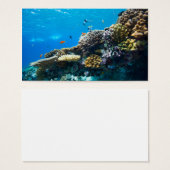 Coral reef underwater (Front & Back)