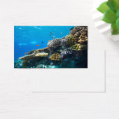 Coral reef underwater (Desk)