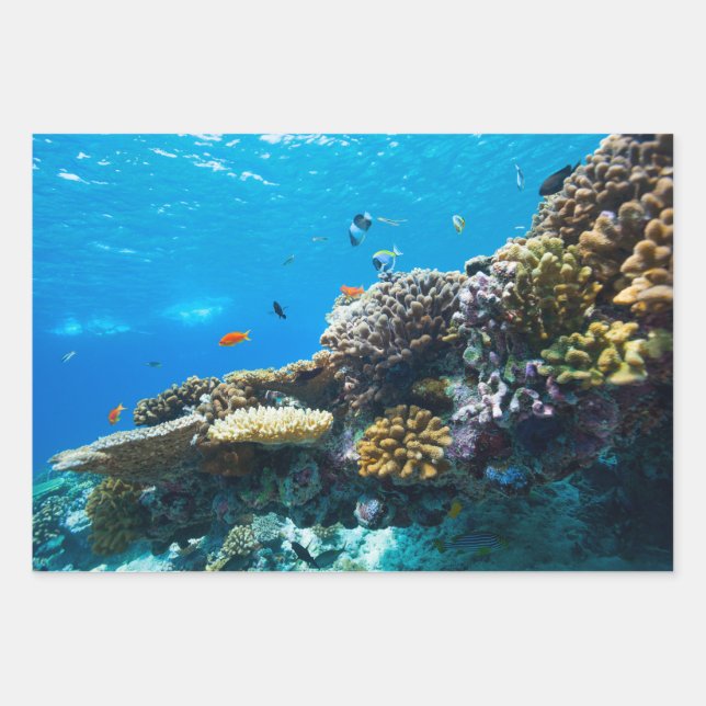 Coral reef underwater wrapping paper sheets (Front)