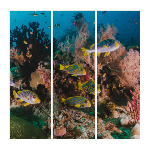 Coral Reef wall panels