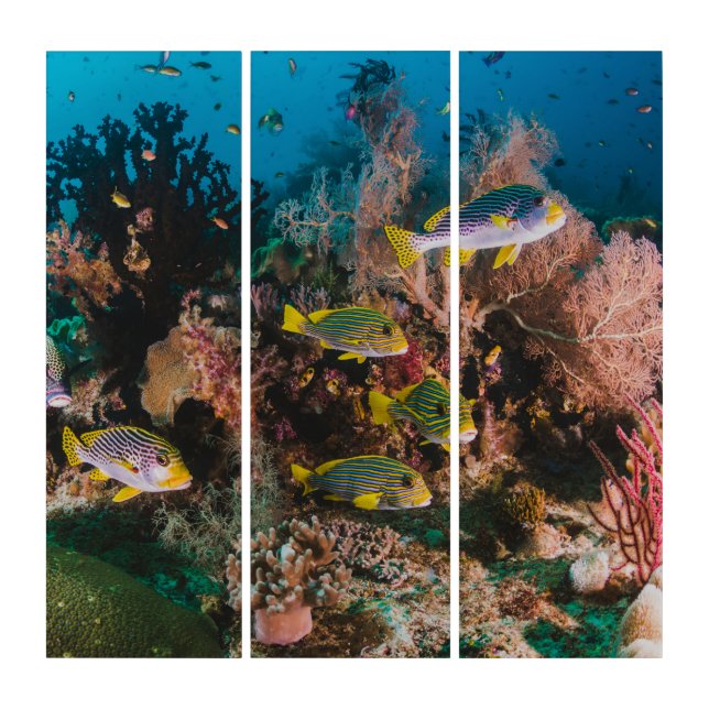 Coral Reef wall panels (Front)
