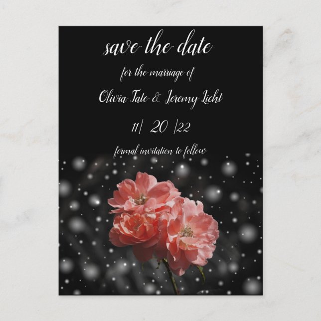 Coral Rose and Black Postcard (Front)