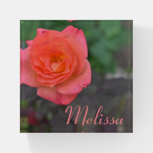 Coral Rose Blossom Flower Floral Photograph Paperweight (Front)