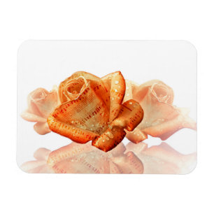 Coral Rose Blossom with Sheet Music Magnet