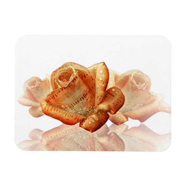 Coral Rose Blossom with Sheet Music Magnet (Horizontal)