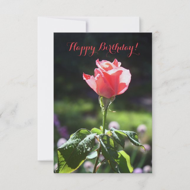 Coral Rose, Happy Birthday!, You Customize Card (Front)