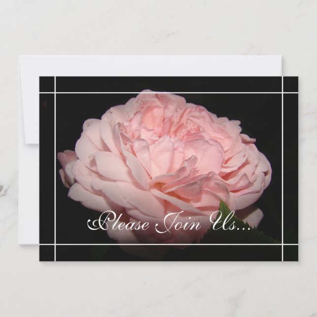 Coral Rose II Wedding Vow renewal  invitations (Front)