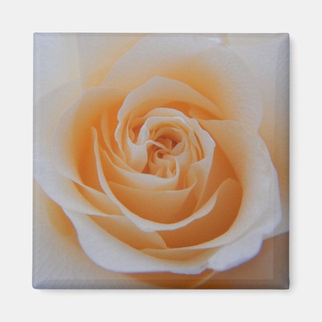 Coral Rose Magnet (Front)