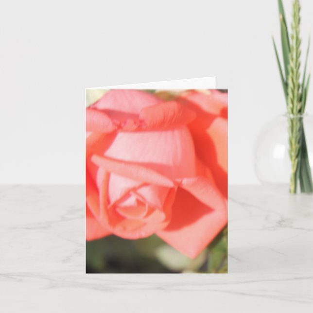 Coral Rose Notecards (Front)