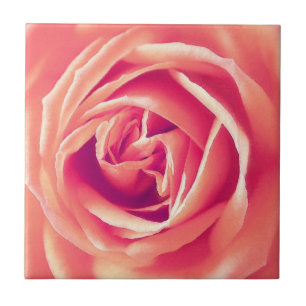 Coral rose print ceramic tile