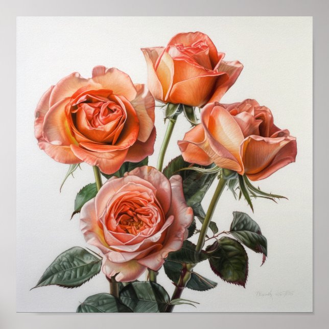 Coral Roses Flower Art Print Poster (Front)