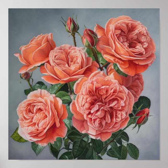 Coral Roses Flower Art Print Poster (Front)