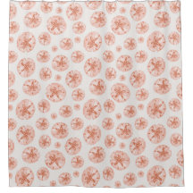 Coral sand dollars on ivory