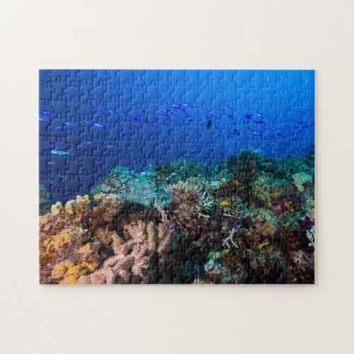 Coral Sea _ Tropical Fish and Reef _ Jigsaw Puzzle