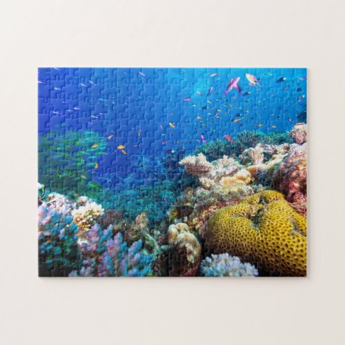 Coral Sea _ Tropical Fish  Reef _ Puzzle
