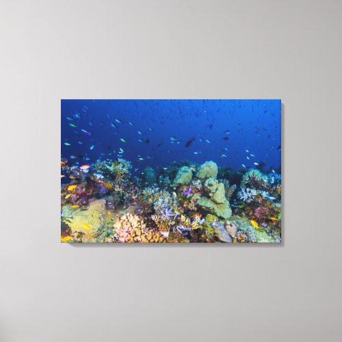 Coral Sea _ Tropical Fish  Reef _ Wrapped Canvas
