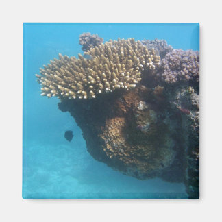 Coral Seascape Magnet