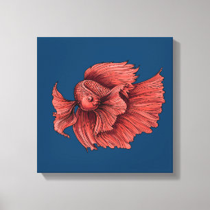 Coral Siamese fighting fish Canvas Print