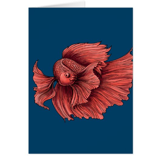 Coral Siamese fighting fish Cards (Front)