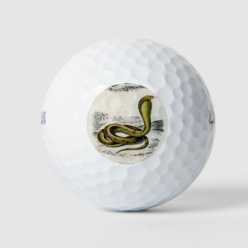 Coral Snake Egyptian Cobra Illustration Golf Balls