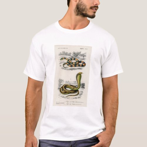 Coral Snake Egyptian Cobra Illustration T_Shirt