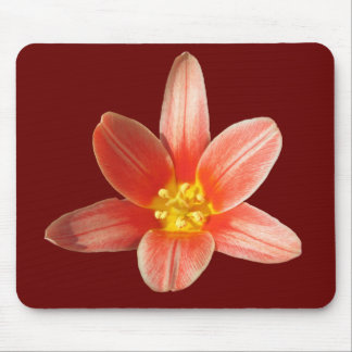 Coral Tulip ~ mousepad