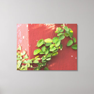 Coral Vine Canvas Print