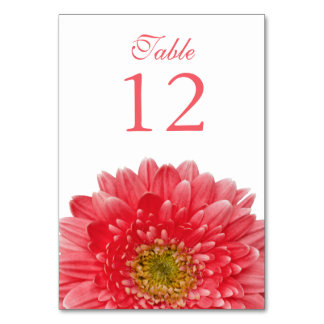 Coral White Gerbera Daisy Wedding Table Number