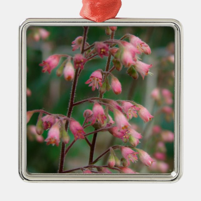 Coralbell Flowers Metal Ornament (Front)