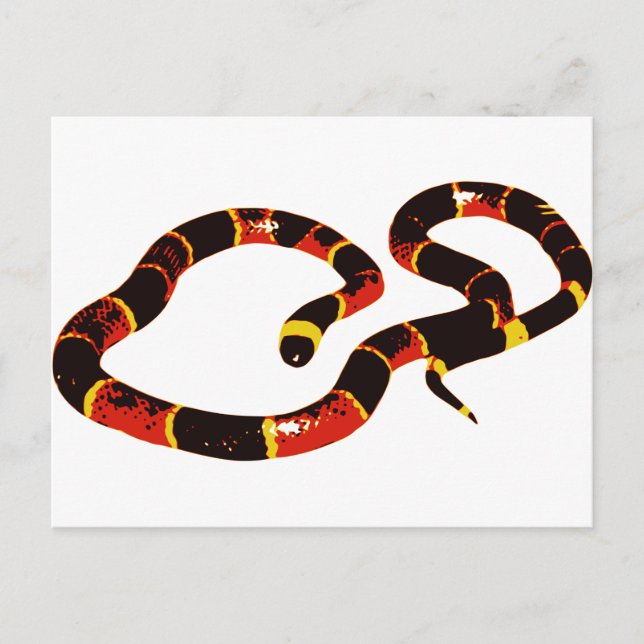 Coralillo Snake Postcard (Front)