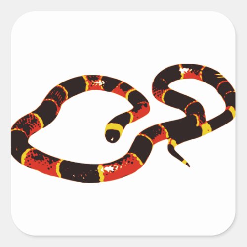 Coralillo Snake Square Sticker