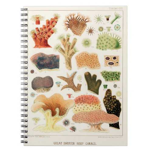 Corals from The Great Barrier Reef of Australia Notebook