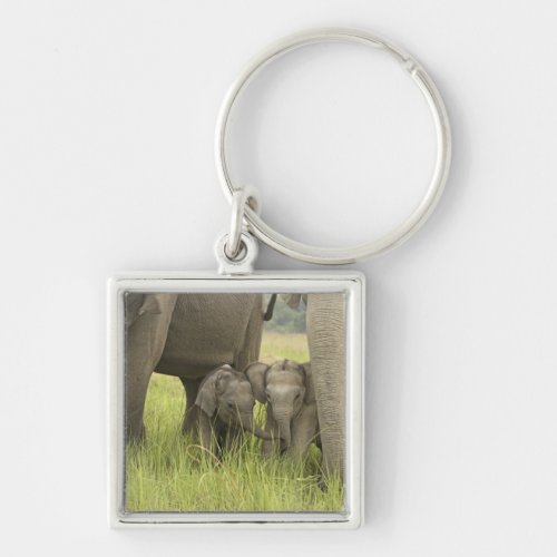 Corbett National Park Uttaranchal India Keychain