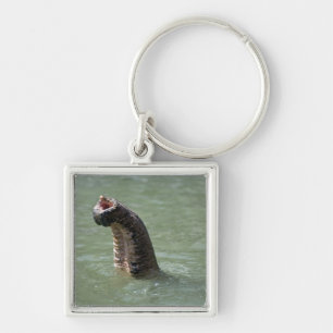 Corbett National Park, Uttaranchal, India Keychain