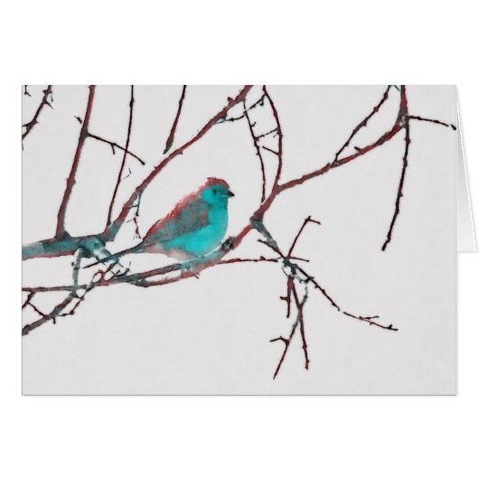 Cordon Bleu Waxbill (Front Horizontal)